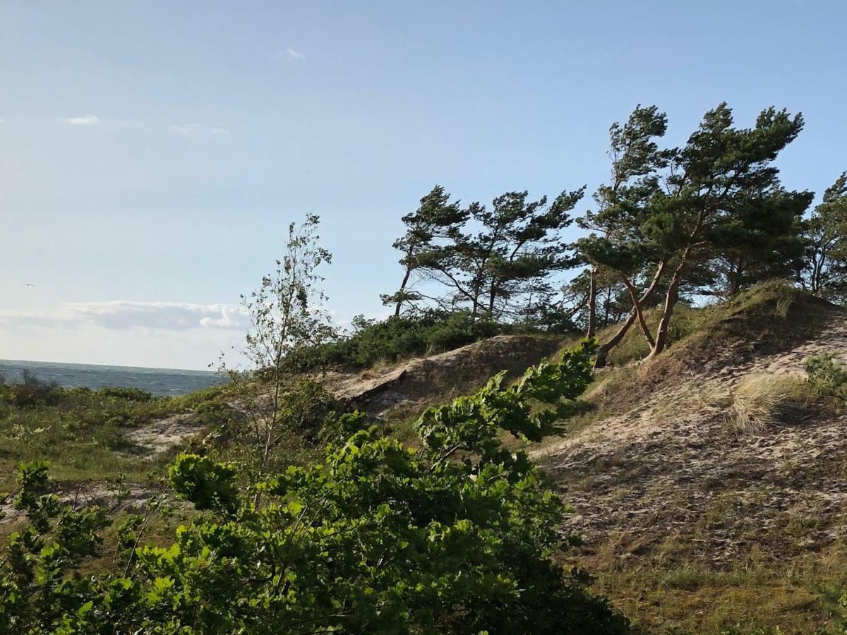 Haus Kranich Im Duenenwald 300M Zum Strand オストゼーバート・ディアーハーゲン エクステリア 写真